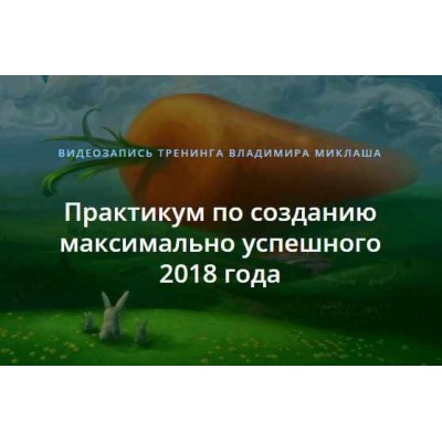 Практикум по созданию максимально успешного 2018 года. Владимир Миклаш