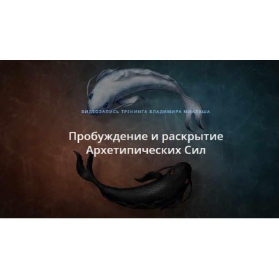 Пробуждение и раскрытие Архетипических Сил. Владимир Миклаш