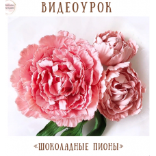Видеоурок «Шоколадные пионы». Екатерина Завирюха