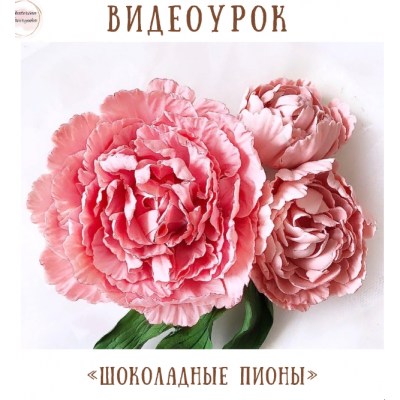 Видеоурок «Шоколадные пионы». Екатерина Завирюха
