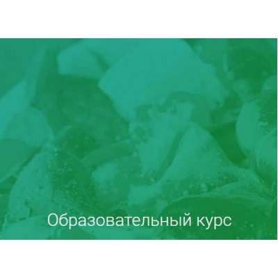Программа Detox GURU. Ната Гончар Institute of Nutrition & Detox Coaching