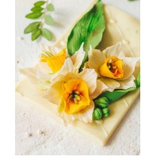 Шоколадные Нарциссы. Екатерина Завирюха