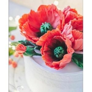 Шоколадные маки. Екатерина Завирюха Шоколадные маки. Екатерина Завирюха