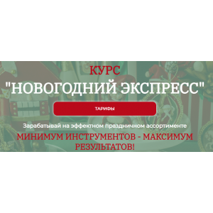 Новогодний экспресс. Тариф Я сама. Екатерина Завирюха