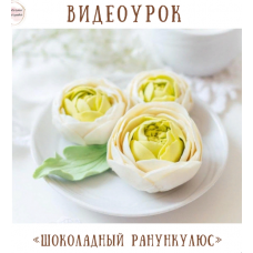 Видеоурок «Шоколадный ранункулюс». Екатерина Завирюха