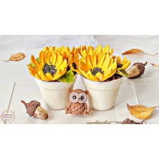 Видеоурок Чизкейк подсолнух. Екатерина Завирюха