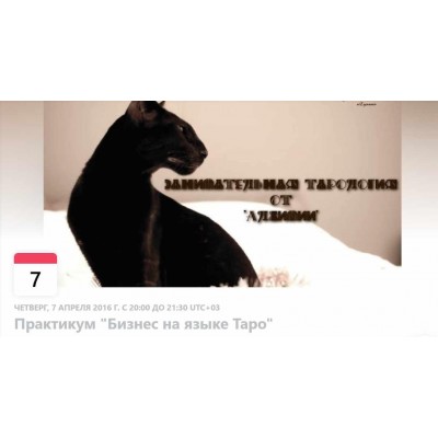 Бизнес на языке Таро. Вероника Никитенко