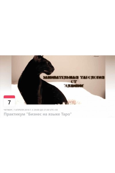 Бизнес на языке Таро. Вероника Никитенко