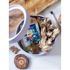 Видеоурок «Шоколадная осень». Екатерина Завирюха