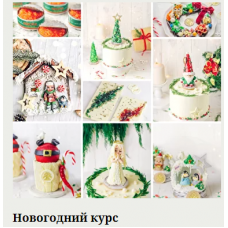 Новогодний курс. Екатерина Завирюха