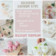 Весенний курс. Тариф Базовый. Екатерина Завирюха