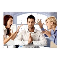 Управление эмоциями. Пакет «Продвинутый». Игорь Рызов, Светлана Рызова