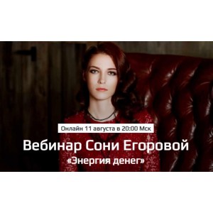 Энергия денег. Соня Егорова