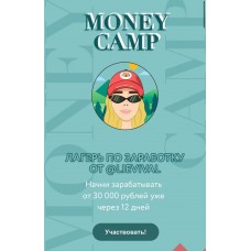 Лагерь по заработку Money camp. Елизавета Гребенюк lievival