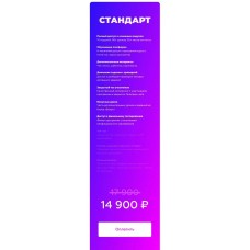 INSTABOSS 2.0  инстабосс   Данила Матухно и Марго Савчук