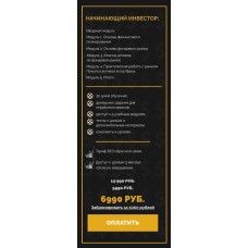 Money`тизация, Монетизация. Полина Пушкарева  nioly Ниоли