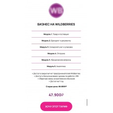 Бизнес на Wildberries. Авторский курс, Эльвира Воробьева