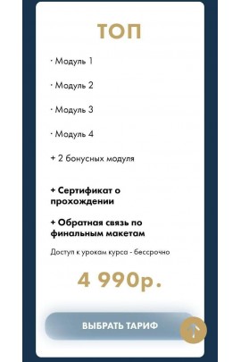 Научись дизайнить огненные макеты. Елена Палий Тариф "ТОП"