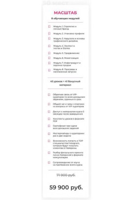 Авторская программа по развитию блога. Тариф "Масштаб". Bizcarusel, Катерина Алешина