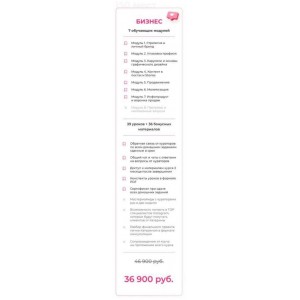 Авторская программа по развитию блога. Тариф Бизнес. Bizcarusel, Катерина Алешина