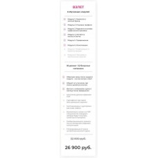 Авторская программа по развитию блога. Тариф "Взлет" Bizcarusel, Катерина Алешина