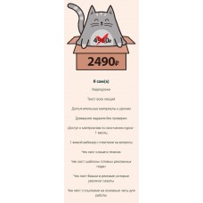 Курс по созданию рекламных подач. nyankate & kulikolesya