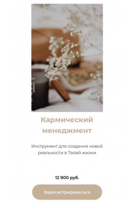 Кармический менеджмент. Богацкая Юлия