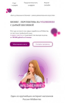 Бизнес - перспектива на Wildberries. Тариф Масштабный Wildberries. Дарья Шиляева