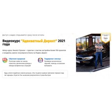 Никита Строков.Адекватный Директ"