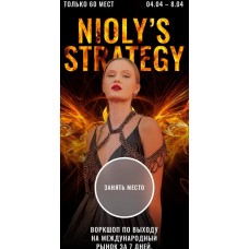 Nioly Strategy. Полина Пушкарева  nioly Ниоли