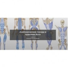 Анатомические поезда в практике йоги. Ксения Шатская, Павел Родионов, Basebody
