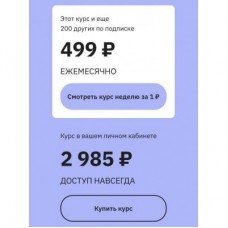 Soft Skills для руководителей. Как управлять собой и другими/ Екатерина Оксанен, Правое полушарие интроверта