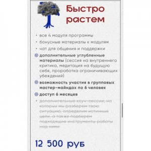 The Limitless. Тариф - Быстро растем. Катерина Сила
