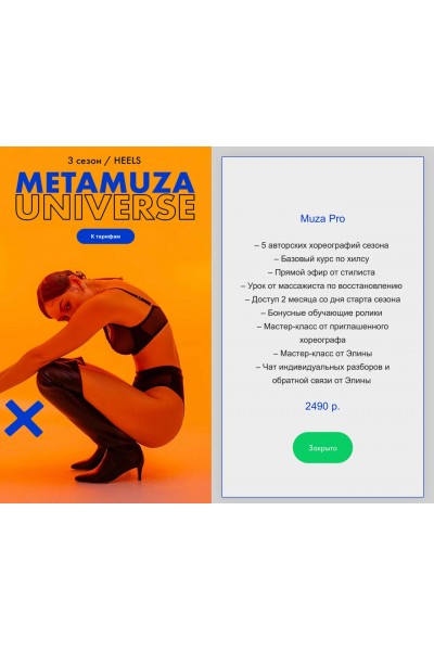 MetaMuza. Тариф Muza pro. Элина Музофарова