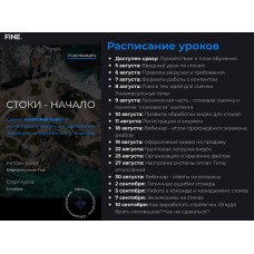 Стоки - начало. Дмитрий Сажин, Юлия Киселева