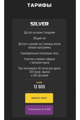 Онлайн-курс Visual Savage. Silver. Слава Двоеглазов