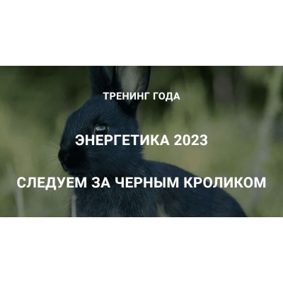 Энергетика 2023. Следуем за черным кроликом. Дмитрий Лаптев, Дао-Сфера