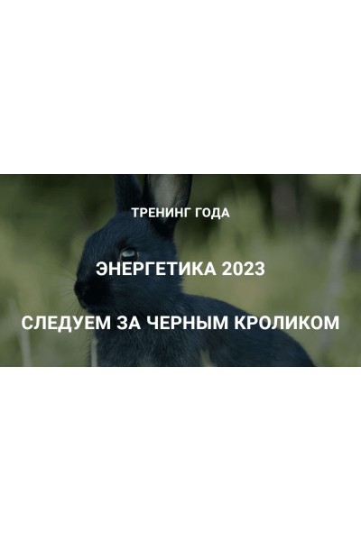 Энергетика 2023. Следуем за черным кроликом. Дмитрий Лаптев, Дао-Сфера