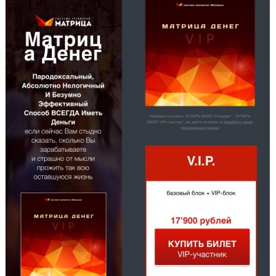 Новая Матрица Денег 2020, базовый блок + VIP-блок.  Дмитрий Богданов, Андрей Клюхин