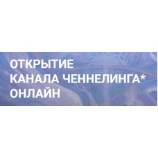 Открытие канала ченнелинга. Елена Сидельникова, Наталья Усачева, Сообщество Квантовая реальность