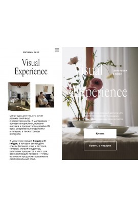  Visual Experience. Валерия Сергеева