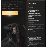 Мастер. Полная система масштабирования себя и других. Мари Галантер