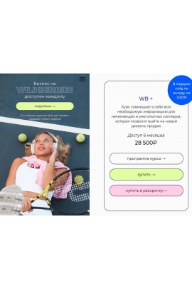 Бизнес на Wildberries доступен каждому. vsjjk place