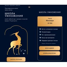 Школа умножения. Валерий Чертовиков, Black Square Group