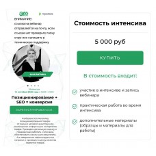 Позиционирование + СЕО = конверсия. Елена Меньшенина, Анна Шерер, Илья Фесюк, Дмитрий Костюнник