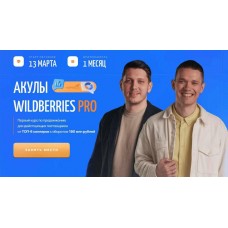 Акулы Wildberries Pro. Иван Куриленко, Андрей Сосновский