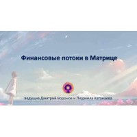 Финансовые потоки в матрице. Дмитрий Воронов. Людмила Катанаева