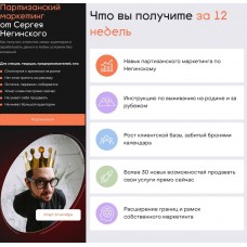 Партизанский маркетинг. Сергей Негинский