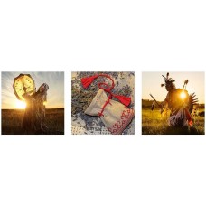 Практики шаманского травничества для защиты, спокойствия, устойчивости. Татьяна Чуйкина