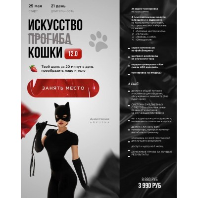 Искусство прогиба (кошки) 12.0. Анастасия Аркуша, arkusha.a